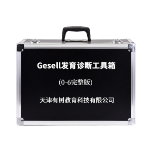 有树 YSXL-GDS01 Gesell发育诊断儿童减压 工具箱专业早教教具