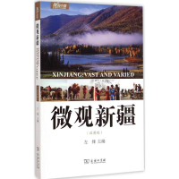 [M]微观新疆-9787100110884