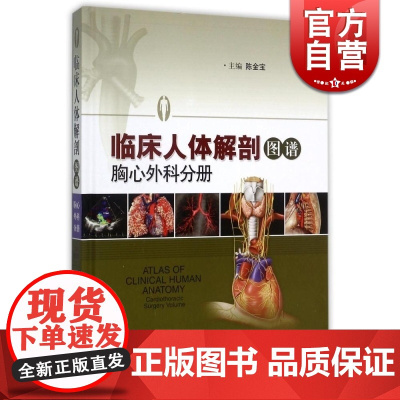 临床人体解剖图谱 胸心外科分册(精装) 陈金宝 编 另有/骨科分册/神经外科分册等 医学参考工具书 正版图书籍 上海科学