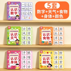 识字书幼儿认字早教安静书儿童启蒙幼儿园认字全套宝宝识字卡片