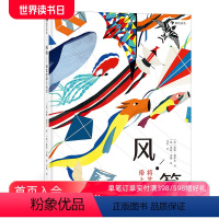 [正版] 风筝 将艺术带上天空了 9国特色风筝 50种风筝式样图案 了解世界文化 儿童艺术科普读物 浪花朵朵童书