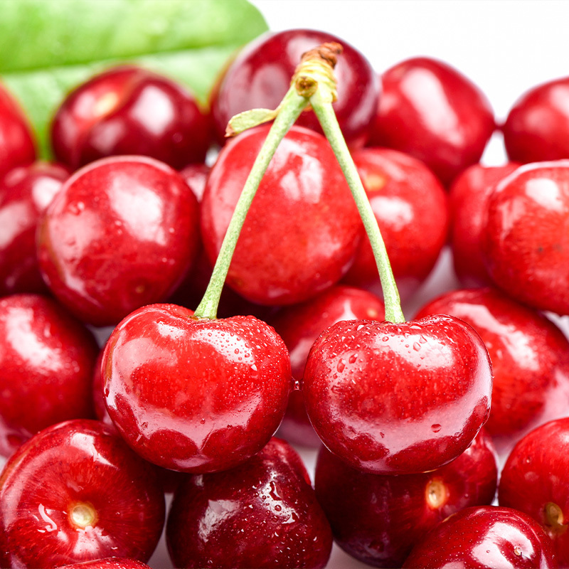 顺丰快递[西沛生鲜]大连美早大樱桃 车厘子 JJJJ级 净重1.8斤