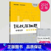 [正版]2024新版挑战压轴题中考化学强化训练篇初中中考真题化学总复习资料化学专项训练初三九年级化学中考必刷题中考真题资