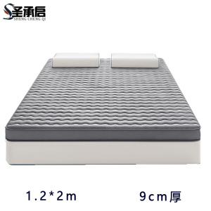 圣承启 公寓床垫 1.2*2m张