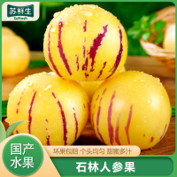 [苏鲜生]云南特产 石林人参果 精选 净重3斤 小果 单果25-50g 熟果 香甜可口 新鲜应季水果