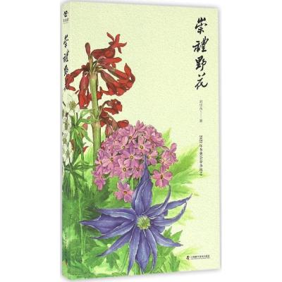 正版新书]崇礼野花刘华杰9787504672186