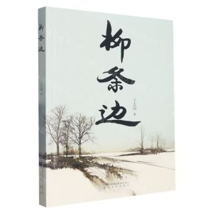 [N]柳条边-9787531363613