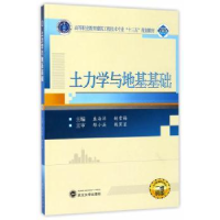 音像土力学与地基基础盛海洋,胡雪梅 编