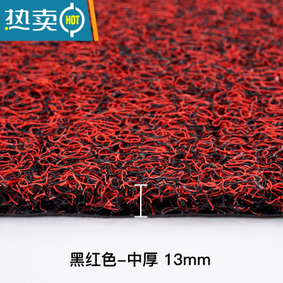 敬平进门地垫门垫丝圈脚垫家用入户门地毯大门口入门垫子加厚防滑垫子