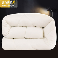 冬季加厚保暖双人冬被子丝棉被褥冬天学生宿舍单人春秋太空调被芯 三维工匠