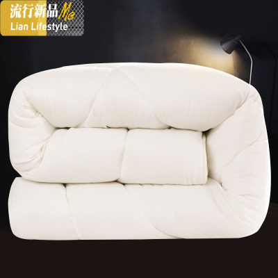 冬季加厚保暖双人冬被子丝棉被褥冬天学生宿舍单人春秋太空调被芯 三维工匠