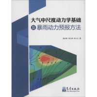 醉染图书大气中尺度动力学基础及雨力预报方法9787502961770