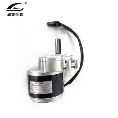 仨鑫 专用低速电机 SX-MY1016Z2/个