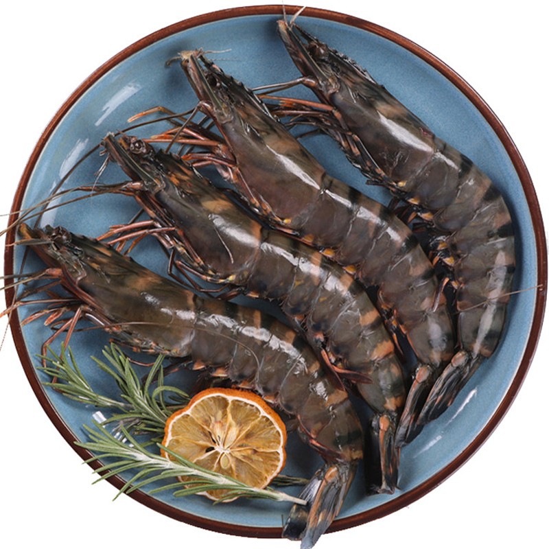 【四海生鲜】 海捕特级黑虎虾黑节虾(10-14条)斑节虾 新鲜海鲜水产