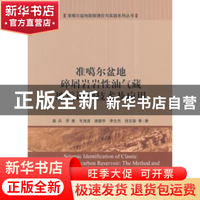 正版 准格尔盆地碎屑岩岩性油气藏地震识别技术及应用 娄兵 等 科