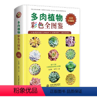 [正版]多肉植物彩色全图鉴 怦然心动的多肉植物,专业精美的多肉图鉴,给你非同一般的多肉观赏和种植乐趣 花卉专家专业栽培