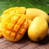 鲜贝达 小台农芒果5斤大果(70g起)新鲜现摘 小台芒 应季热带水果