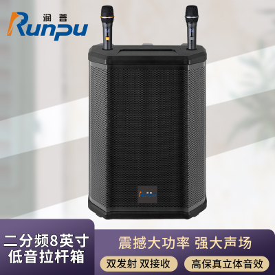 润普Runpu会议音频扩声拉杆音箱二分频8英寸低音卡拉OK户外演出活动野外作训带话筒拉杆音箱RP-S-LG