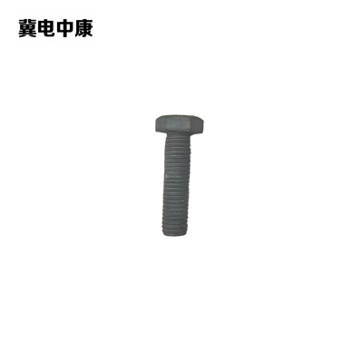 冀电中康 螺栓 16*70mm 个