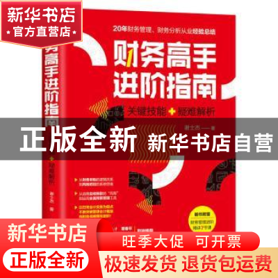 正版 财务高手进阶指南:关键技能+疑难解析 谢士杰 人民邮电出版