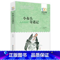 小布头奇遇记 [正版]小布头奇遇记/百年百部中国 文学经典书系 孙幼军著 8-9-10-12周岁小学初中生三四五六七年级