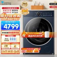 小天鹅小乌梅2.0高奢版滚筒洗衣机10KG 超微净泡水魔方 纯平全嵌1.15高洗净比 减震净科技 智投 TG10DE60