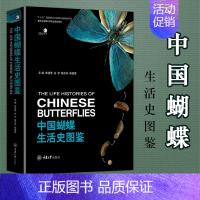 [正版]中国蝴蝶生活史图鉴 264种国内蝴蝶的生活史及幼期特征蝴蝶的分类生物学等基础知识蝴蝶生活史图鉴大全书籍科普读物蝴