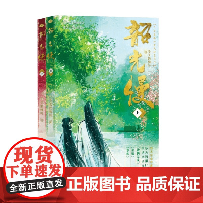 韶光慢 冬天的柳叶 著 青春文学