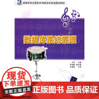 数据库系统原理(21世纪高等学校计算机应用型本科规划教材精选)