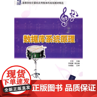 数据库系统原理(21世纪高等学校计算机应用型本科规划教材精选)