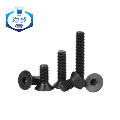 迦毅沉头带榫螺栓M20*70个