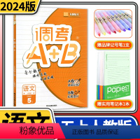 语文 小学五年级 [正版]2023版调考A+B语文五年级上册人教版 成都期末调研a十b考试小学生专题分类集训同步训练辅导