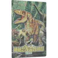 [M]神秘恐龙益智拼图 走迷宫-9787535696106