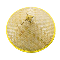 泽奋 斗笠 53cm 个