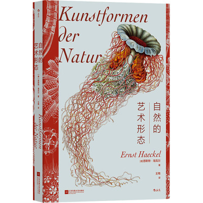 自然的艺术形态