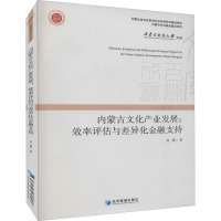 内蒙古文化产业发展:效率评估与差异化金融支持
