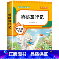 [六年级下册]骑鹅旅行记 [正版]全套4册 鲁滨逊漂流记六年级下册的课外书阅读原著完整版汤姆索亚历险记爱丽丝漫游奇境尼尔