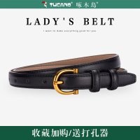 啄木鸟皮带女士真皮针扣装饰细腰带配连衣裙高级感时尚裤带夏季潮