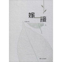 音像嫁接刘玉琴