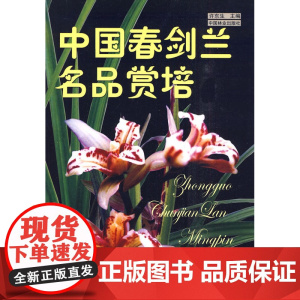 中国春剑兰名品赏培