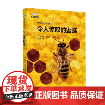 令人惊叹的蜜蜂 玛丽亚·桑切斯·瓦迪洛 著 科普读物
