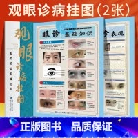[正版]47厘米*68厘米2张眼诊全彩挂图 观眼诊病挂图 中医望诊系列挂图中医常见病症简单医治中医养生中医入门 书籍中