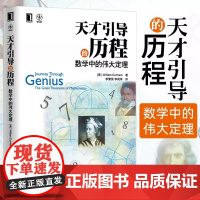 天才引导的历程 数学中的伟大定理 数学教材书 不衰名家经典数学书籍 牛顿阿基米德 数学计算公式 数学指南数学爱好者参考书