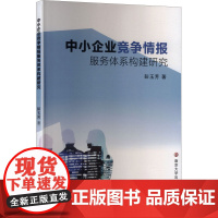 中小企业竞争情报服务体系构建研究 彭玉芳 著 南京大学出版社 管理理论 管理学理论/MBA