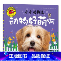 动物好萌啊 [正版]大图大字我爱读小小动物迷 动物好萌啊 好奇怪 好威风 好有趣彩图注音儿童启蒙认知动物百科全书幼儿园一