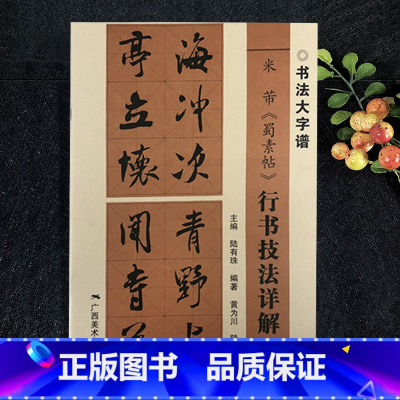 [正版]米芾蜀素帖 行书技法详解大8开本书法初学者入门 广西美术出版社