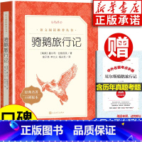 [正版]骑鹅旅行记六年级下册 人民文学出版社 高子英译原著完整版 四五六年级快乐读书吧下册全套 小学课外阅读书籍 尼