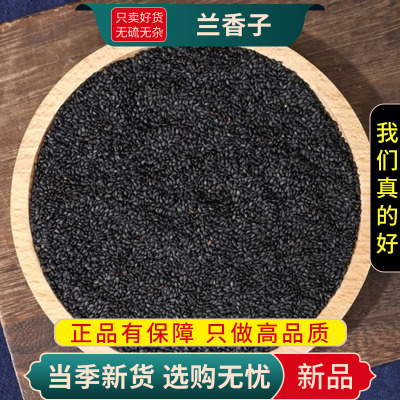 甄选兰香子100克干货正品货罗勒籽兰香子另售陈皮茯苓9260