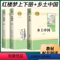 [正版]乡土中国费孝通原著完整版高中名著整本书阅读高一高中生书目红楼梦中国乡士乡村社会文化书籍人民教育文学南方出版社书