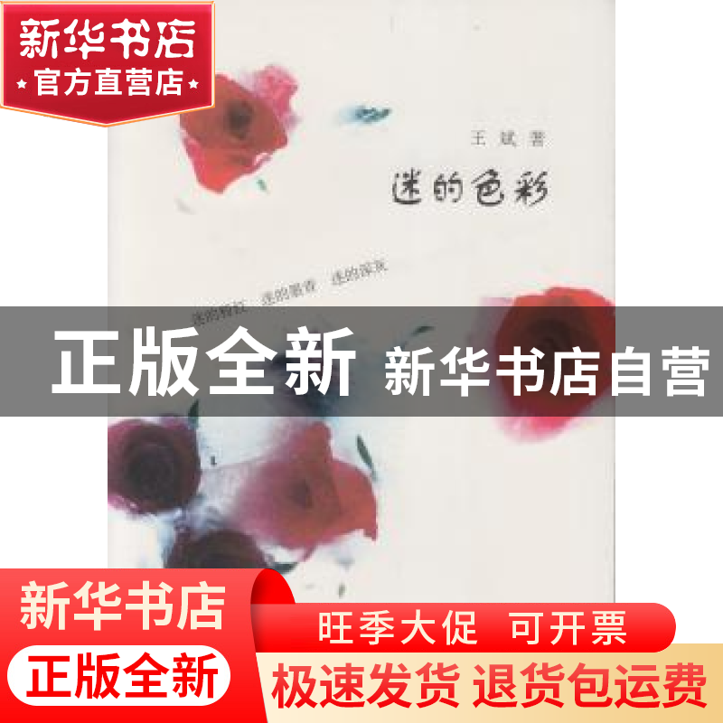 正版 迷的色彩 王斌著 文汇出版社 9787549614141 书籍
